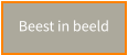 Beest in beeld